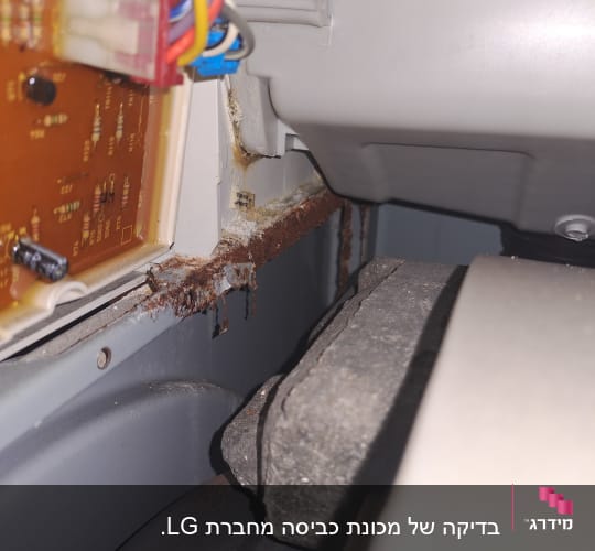 מעגל חשמלי עם חוטים צבעוניים ומחברים